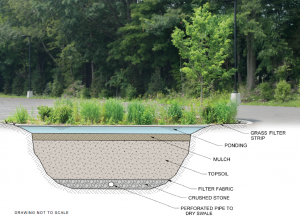 Bioretention Areas and Dry Swale | Office of Campus Sustainability